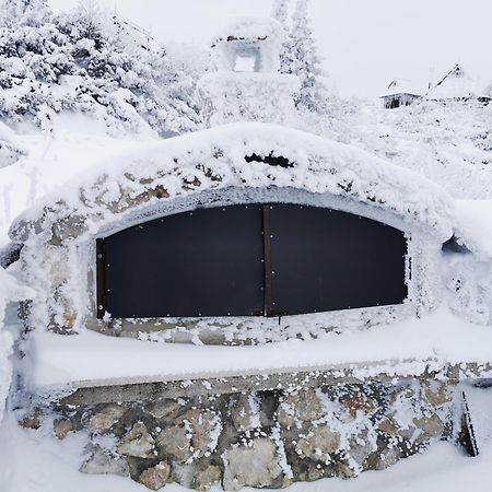 Villa Koca Ojstrica - Velika Planina Stahovica Esterno foto