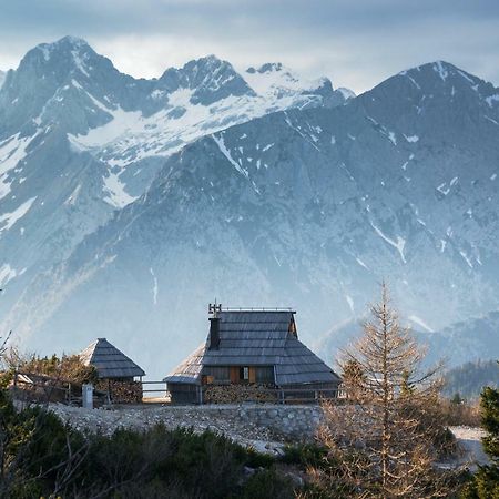 Villa Koca Ojstrica - Velika Planina Stahovica Esterno foto