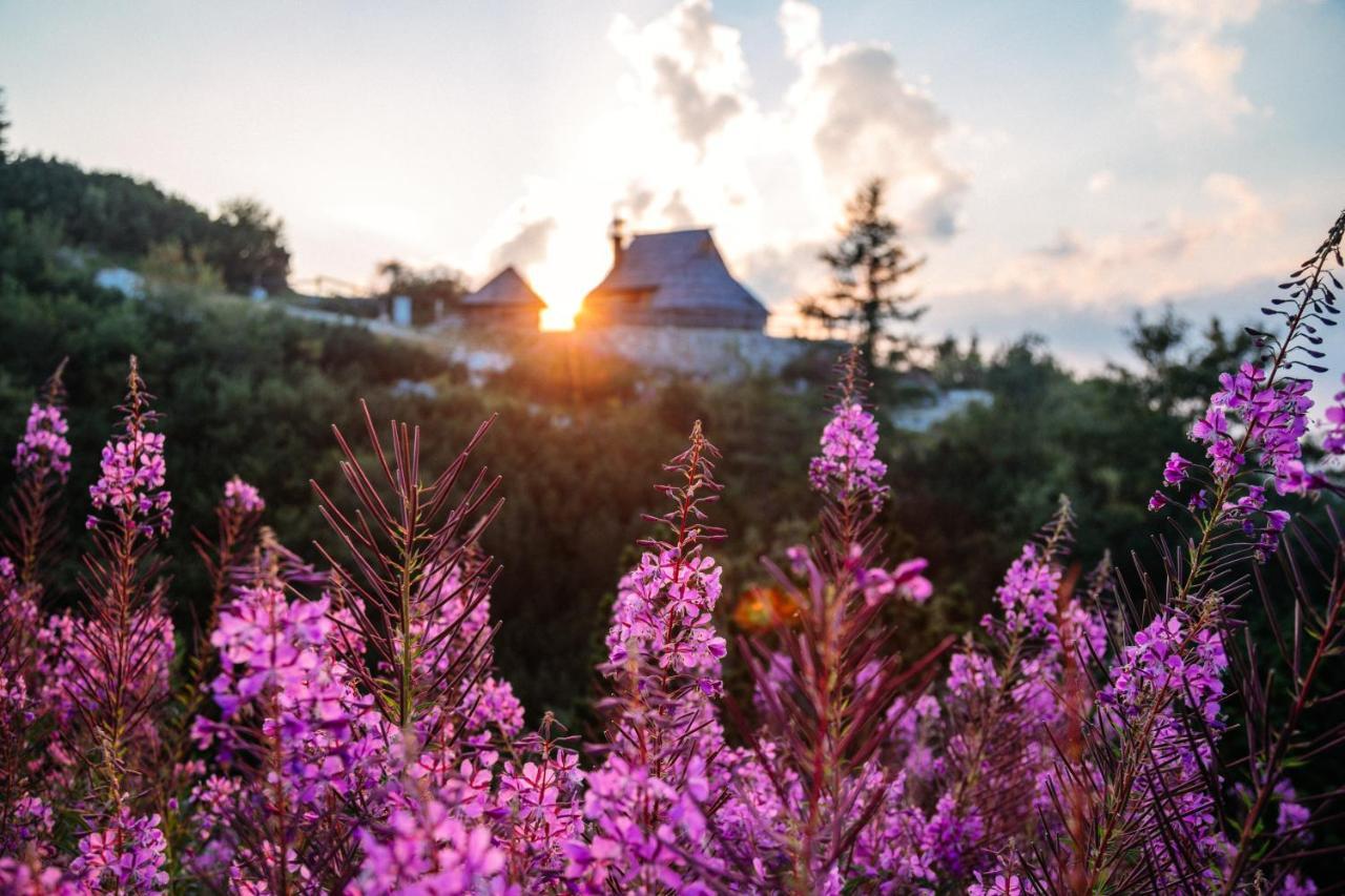 Villa Koca Ojstrica - Velika Planina Stahovica Esterno foto
