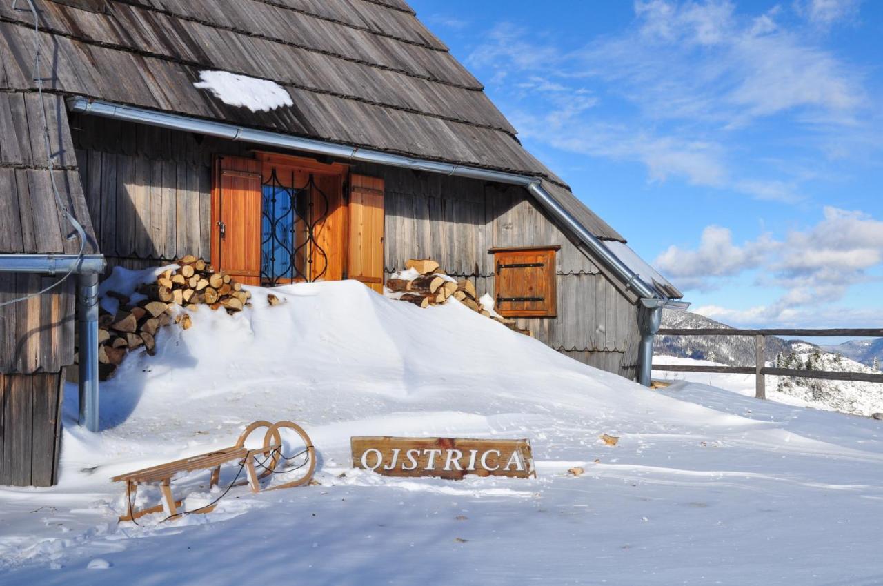Villa Koca Ojstrica - Velika Planina Stahovica Esterno foto
