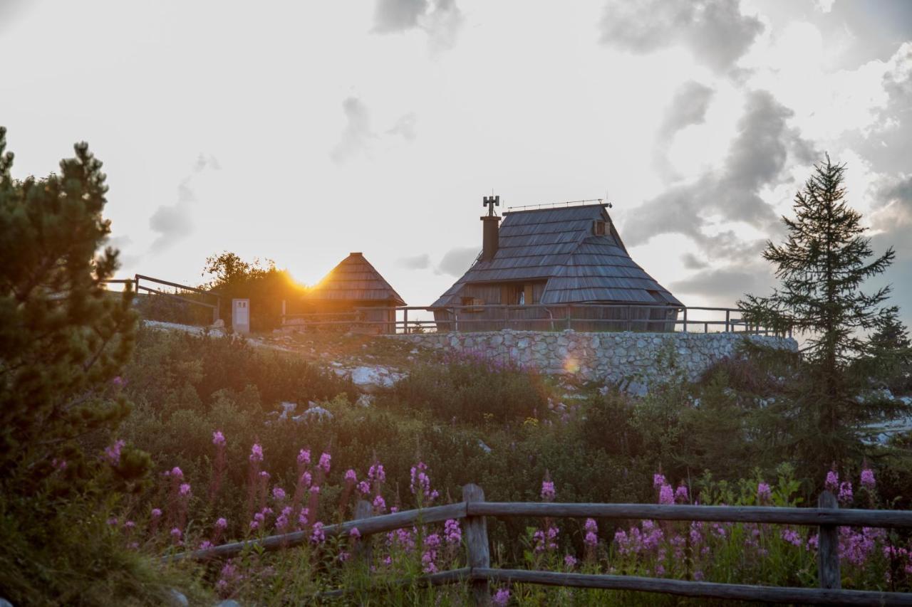 Villa Koca Ojstrica - Velika Planina Stahovica Esterno foto