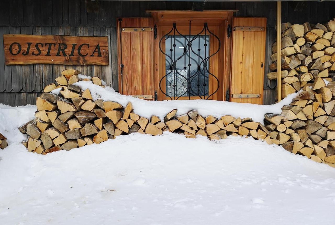 Villa Koca Ojstrica - Velika Planina Stahovica Esterno foto