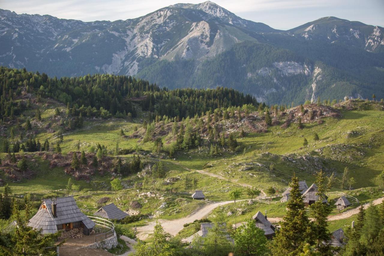 Villa Koca Ojstrica - Velika Planina Stahovica Esterno foto