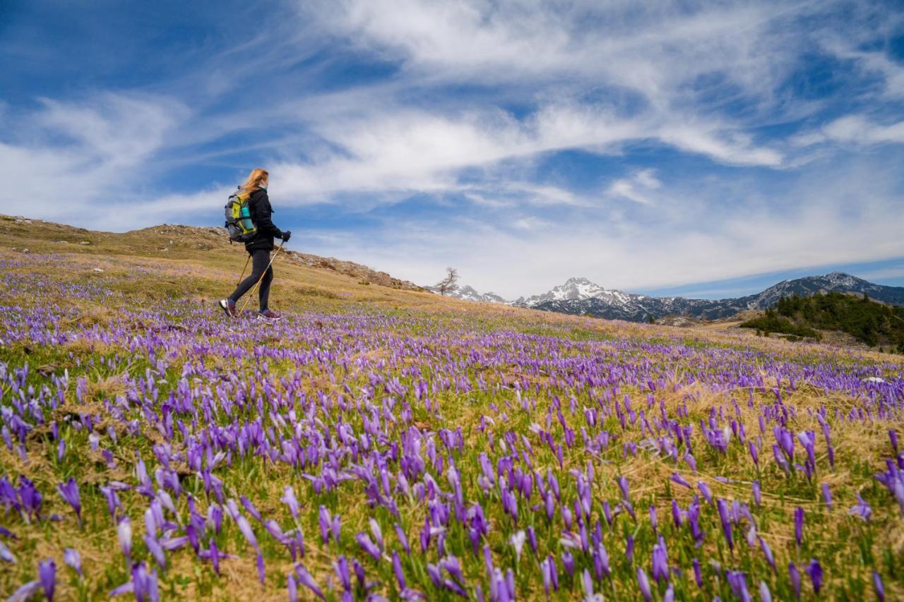 Villa Koca Ojstrica - Velika Planina Stahovica Esterno foto