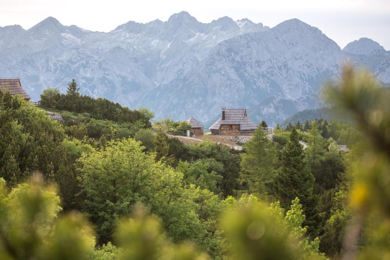 Villa Koca Ojstrica - Velika Planina Stahovica Esterno foto