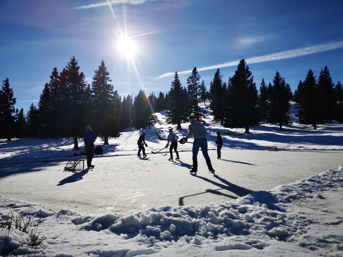 Villa Koca Ojstrica - Velika Planina Stahovica Esterno foto