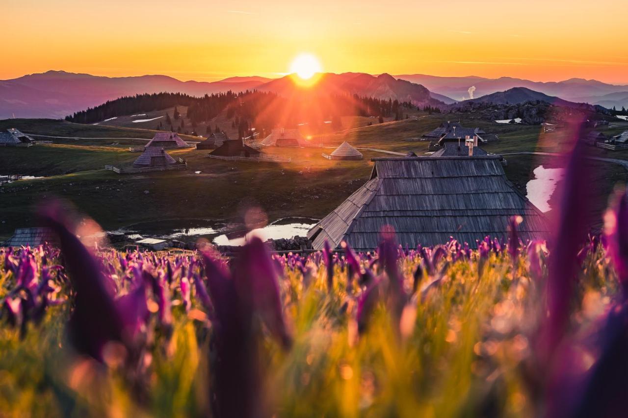 Villa Koca Ojstrica - Velika Planina Stahovica Esterno foto
