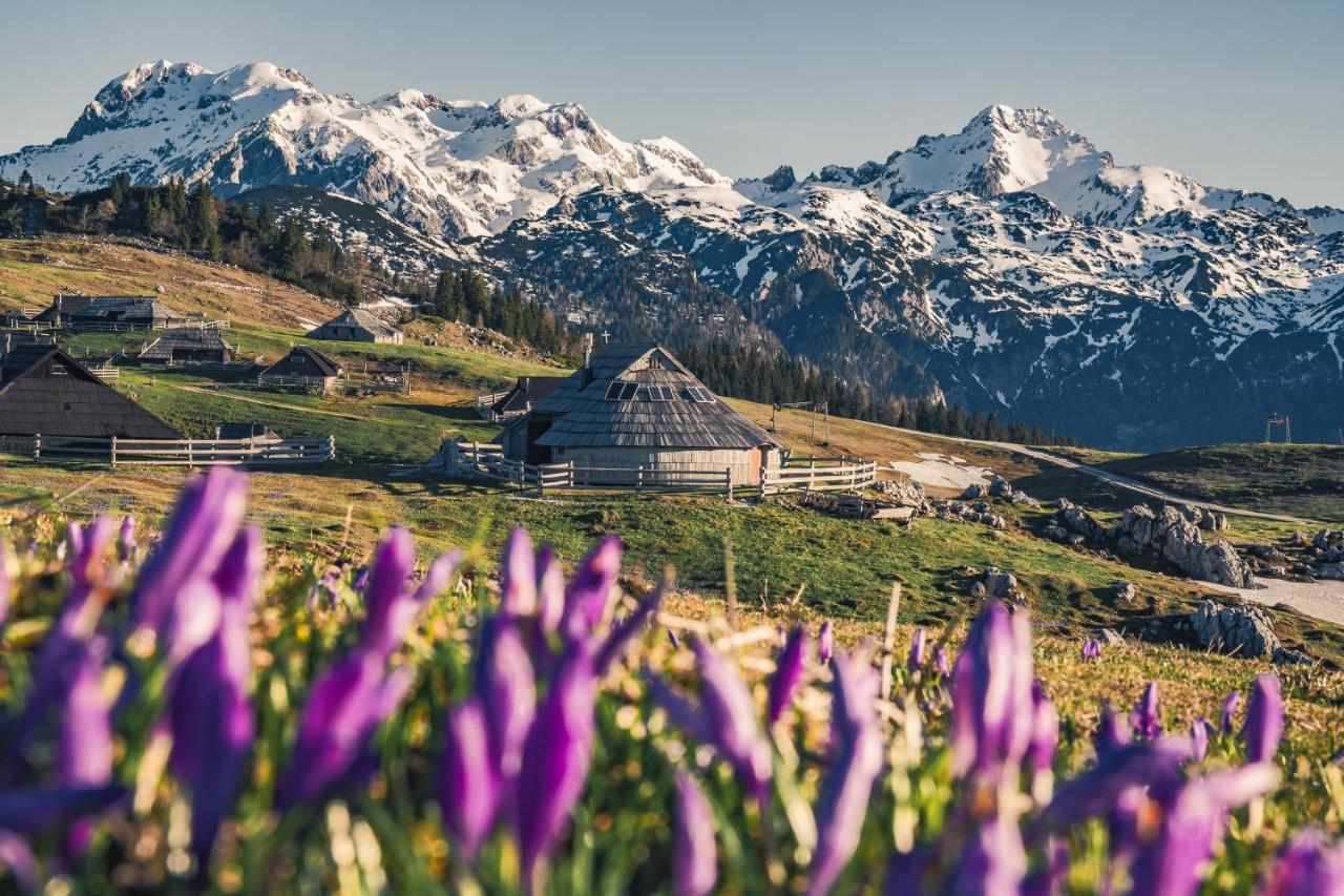 Villa Koca Ojstrica - Velika Planina Stahovica Esterno foto