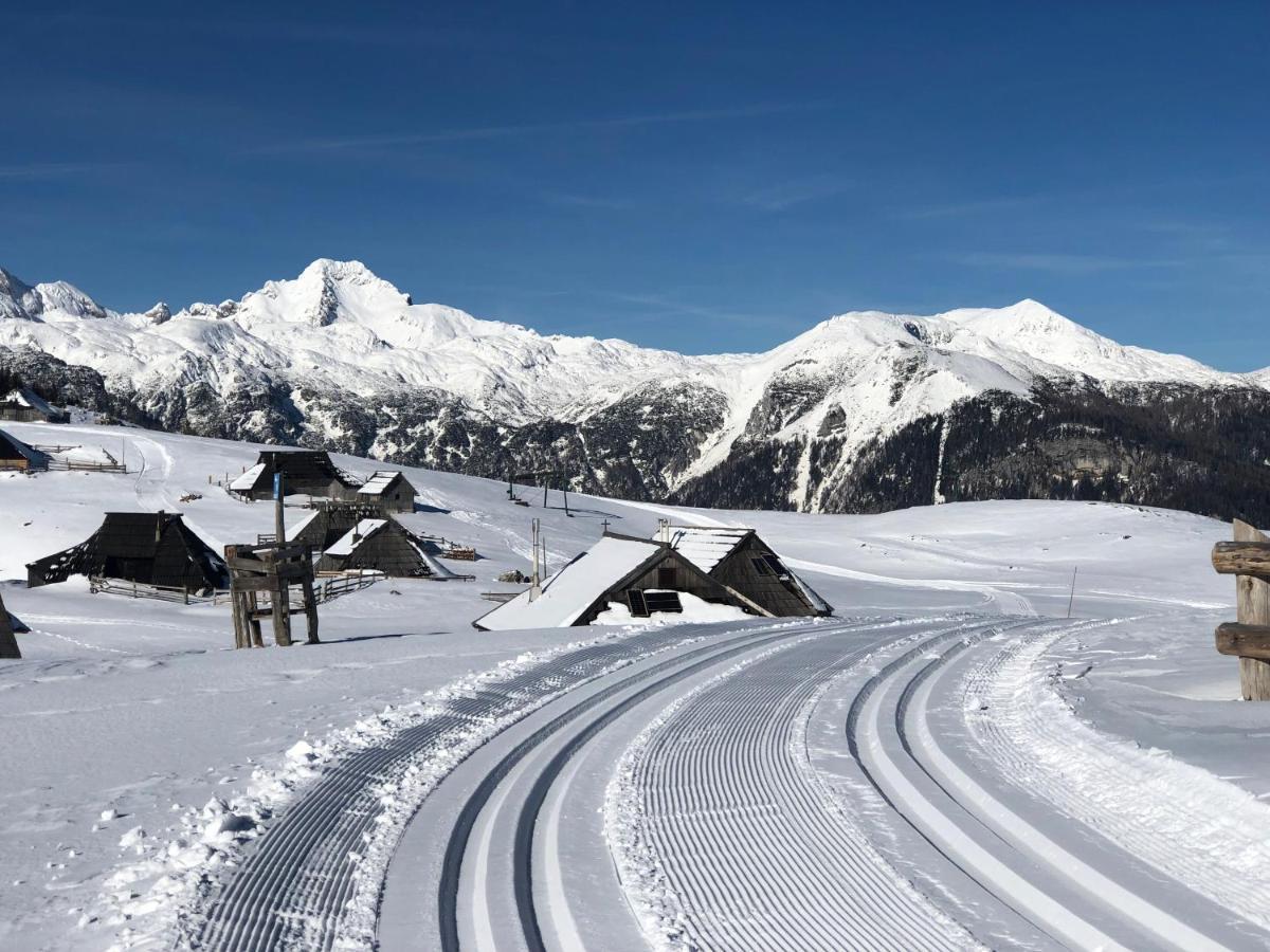 Villa Koca Ojstrica - Velika Planina Stahovica Esterno foto