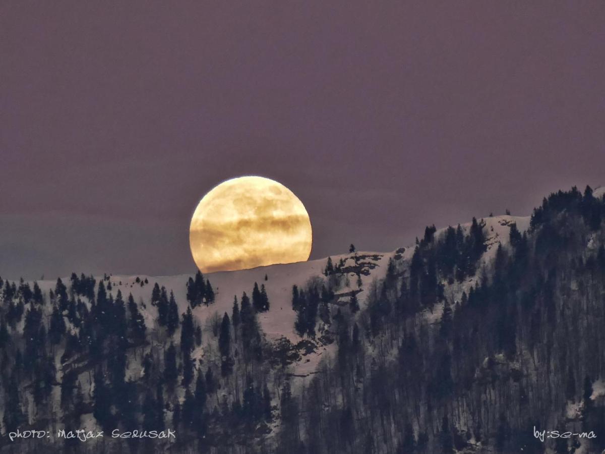Villa Koca Ojstrica - Velika Planina Stahovica Esterno foto